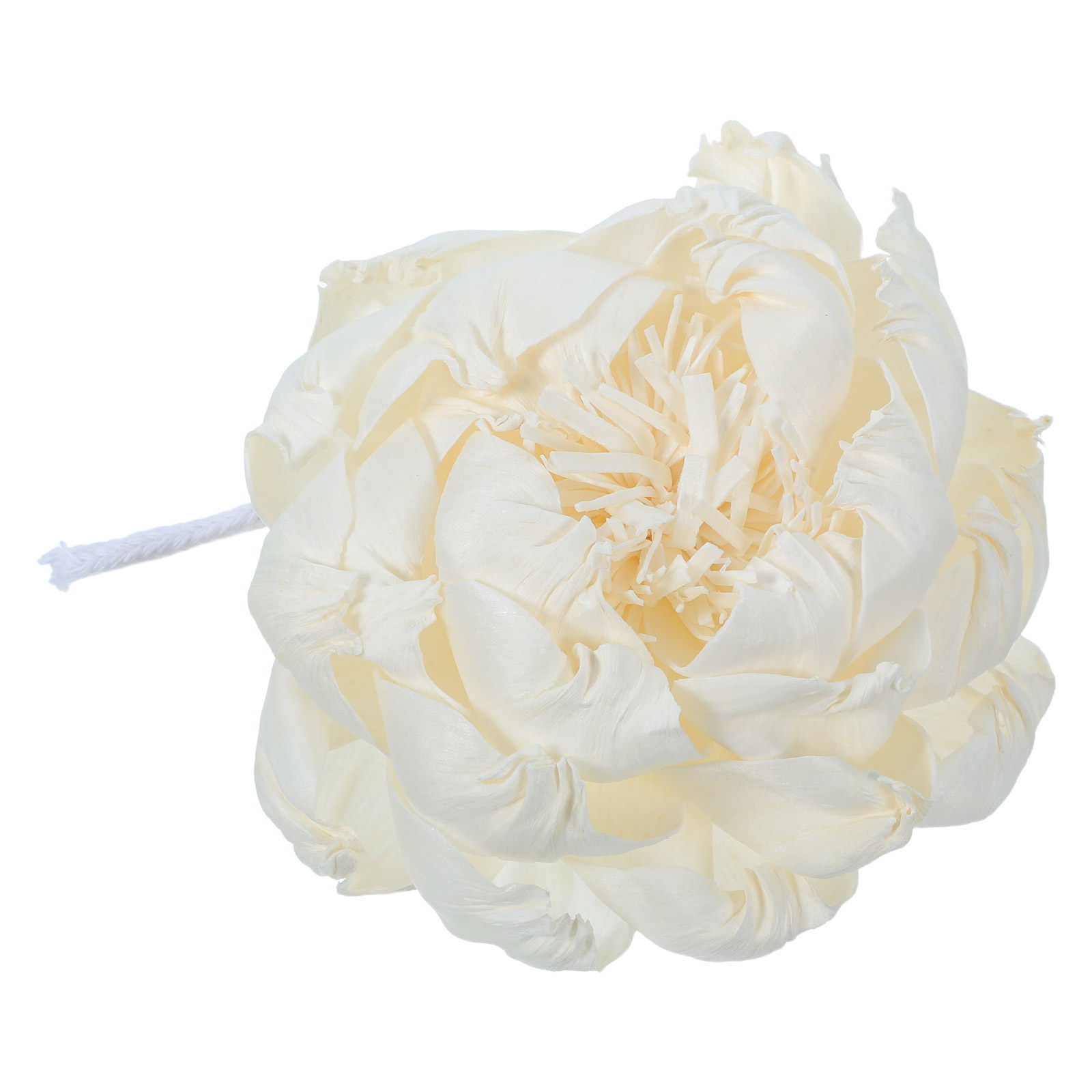 Peony Head Fragrance Diffuser  - Home Fragrance Us recension och pris