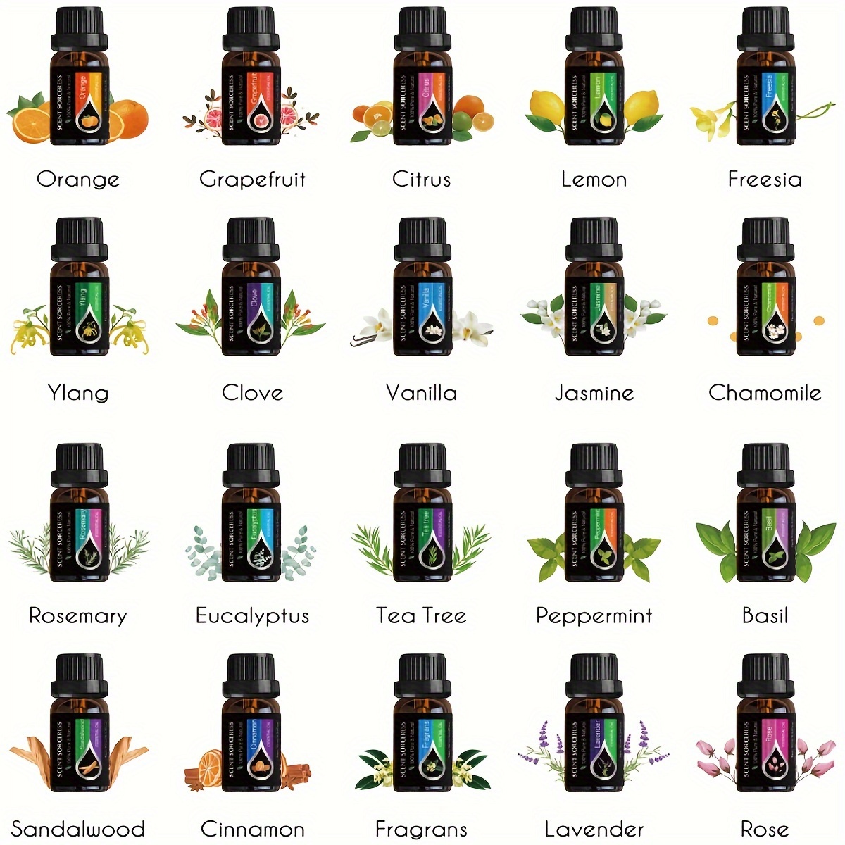 20Pcs/Set Classic Brand Essent - Home Fragrance Eucalyptus recension och pris